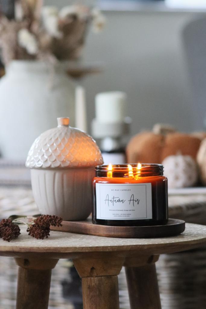 Autumn Air 16oz candle